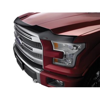 Low Profile Aerodynamic Hood Protector
