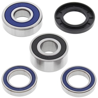 Racing 75-77 Suzuki TS125 Wheel Bearing Kit - Rear