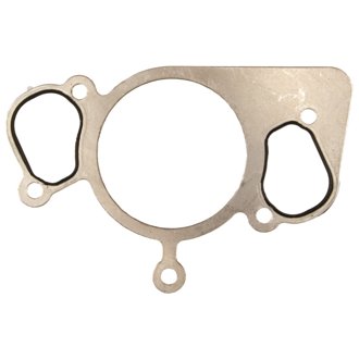 Engine Water Pump Gasket