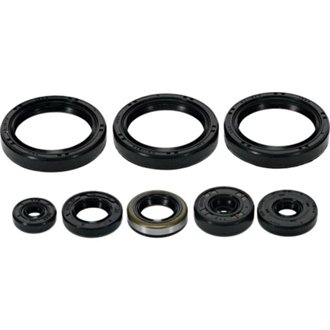 Engine Oil Seal Kit