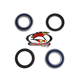 Rear Wheel Bearing Kit - Both Wheels