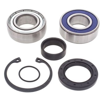 Snowmobile Chain Case Bearing & Seal Kit