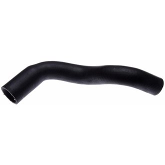 97-04 Chevrolet Corvette V-8 5.7L Lower Molded Coolant Hose