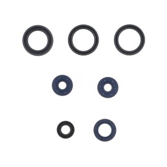 95-01 Aprilia 125 Engine Oil Seal Kit