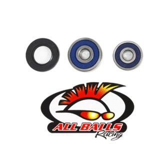 Wheel Bearing Kit Front Wheel