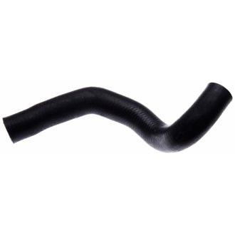 94-96 Buick Century V-6 3.1L Lower Molded Coolant Hose