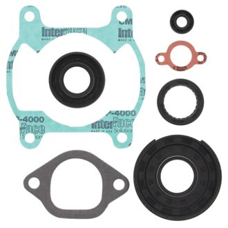 84-11 BR 250 Bravo Complete Gasket Kit w/ Seals