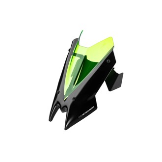 P09