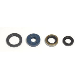 02-08 Kawasaki KLX 110 Engine Oil Seal Kit