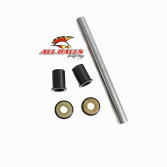 Swing Arm Bearing Kit