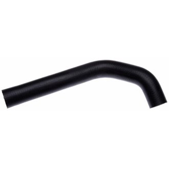 95-97 Ford Ranger V-6 4.0L Lower Molded Coolant Hose
