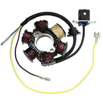 Electrosport Stator Honda XR50/CRF50