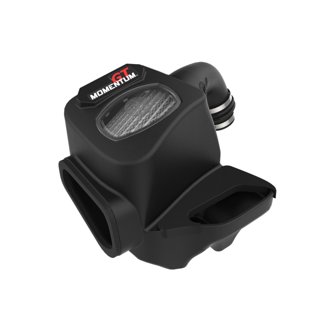 Momentum Gt Cold Air Intake System W/ Pro Dry S Filter