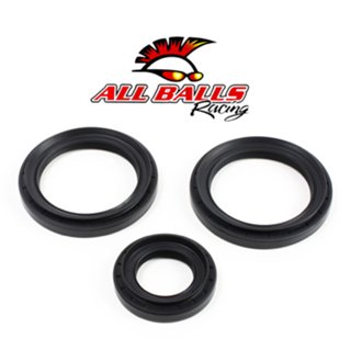Differential Seal Kit
