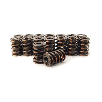 Valve Spring 1.550in Dual