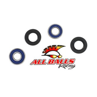 Wheel Bearing Kit Rear