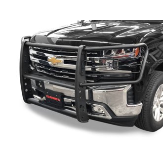3100 Series StepGuard Grille Guard with Brush Guards