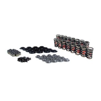 Kit Dual Valve Spring Ts Ls