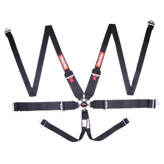 Camlock 6 Point HANS Harness Set