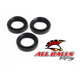 Differential Seal Kit