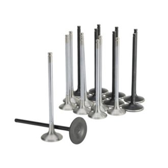 Skunk2 Honda K20C1 Alpha Series Intake & Exhaust Valve Set (Standard Compression)