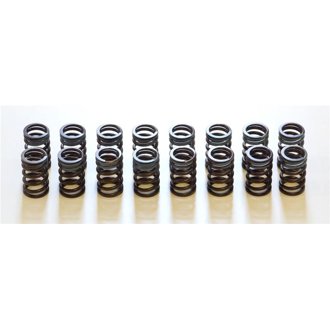 91-00 Infiniti G20 SR20DET Outer Valve Spring Set