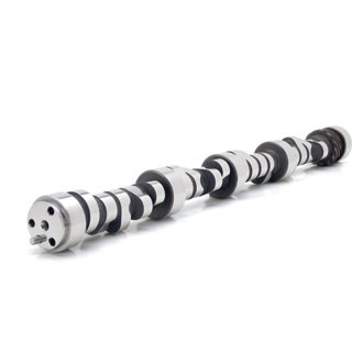 Camshaft CS 299Qs10 .900 Base