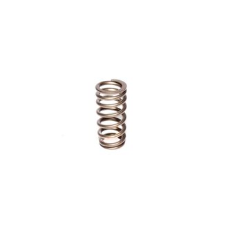 Valve Spring Ford 4.6L 2 Valve