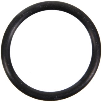 Engine Coolant Outlet Gasket