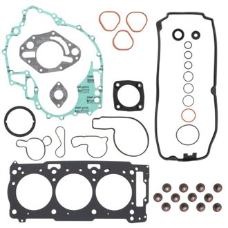 Complete Gasket Kit Withoil Seals