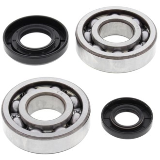 Racing 01-23 Yamaha YZ250 Crank Shaft Bearing Kit