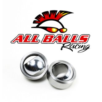 Swing Arm Bearing Kit