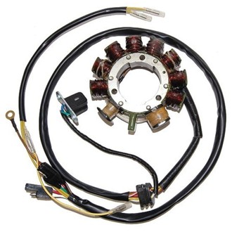 Electrosport Stator Polaris