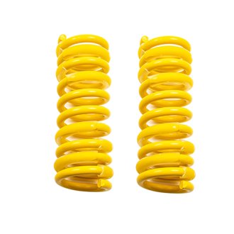 Muscle Car Spring Set