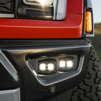 Photo - Close Up