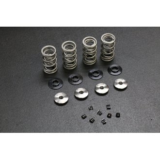 Acura K20 High Lift Drag Racing Dual Spring Kit