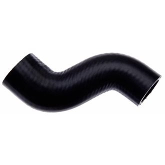 05-07 Chevrolet Aveo 4-Cyl. 1.6L Lower - Pipe To Water Pump Molded Coolant Hose