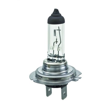 Multi-Purpose Light Bulb