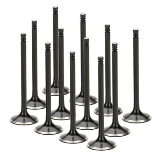Audi/VW 1.8T 5V Triple Groove Black Nitride Exhaust Valve - Set of 12