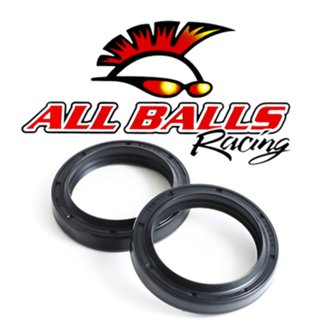Fork Seal Kit