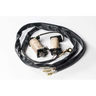 Ricks Motorsport Stator Rebuild Kit