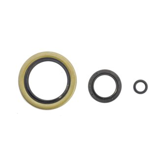 Harley-Davidson Engine Oil Seal Kit