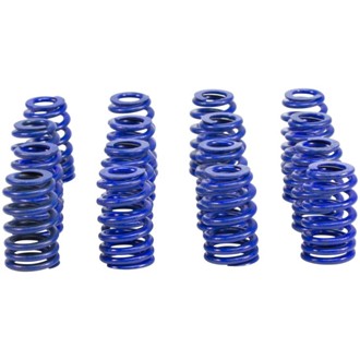 GM 603/604 0.570in Lift 1.077/1.282 OD Beehive Hustler Valve Spring Kit