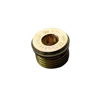 Drain Plug for Deep Transmission Part 1061716