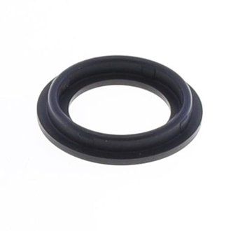 09-11 Ducati 1198 S / Sp 1198 Spark Plug Hole Gasket