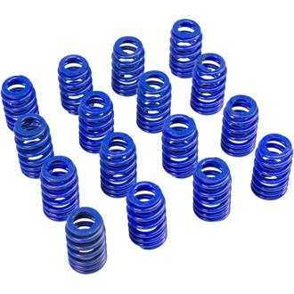 Beehive Hustler Springs for GM 604/CT525 LS Crate Engine