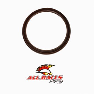 Brake Drum Seal