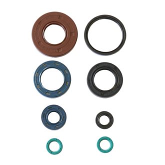 05-10 KYMCO MAXXER 300 HR Engine Oil Seal Kit