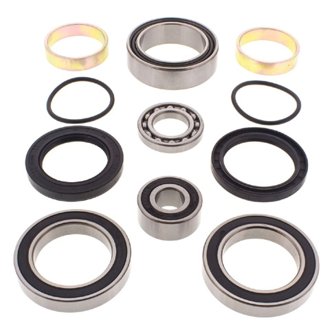 Snowmobile Chain Case Bearing & Seal Kit