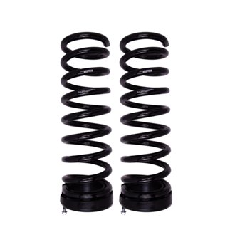 B12 (Special) - Coil Spring Set